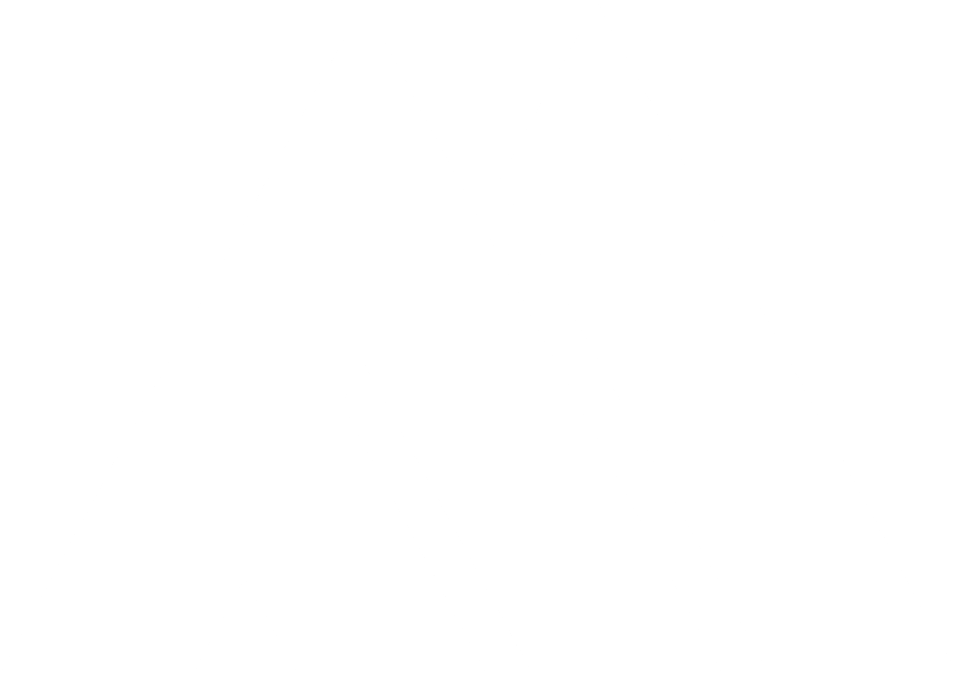FARA MEDIA